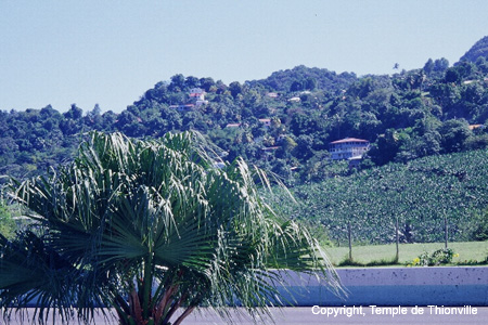 PAYSAGE