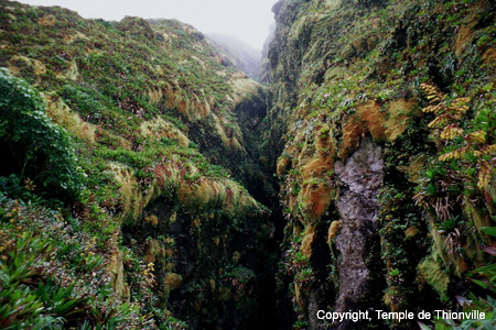 LA SOUFRIERE 1