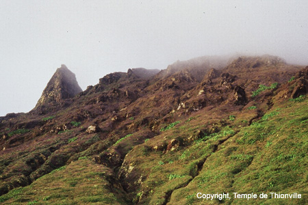 LA SOUFRIERE 3