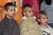 Recoltes_2005_19
