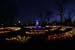 Thionville-nuit44