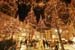 Thionville-nuit49