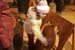 Thionville-nuit51